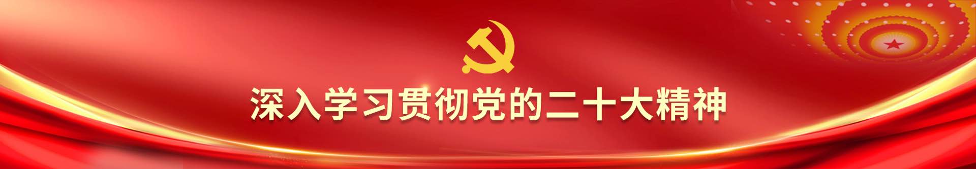 深入学习贯彻党的二十大精神 