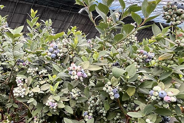 福鹿会·F6(中国)最新官方网站