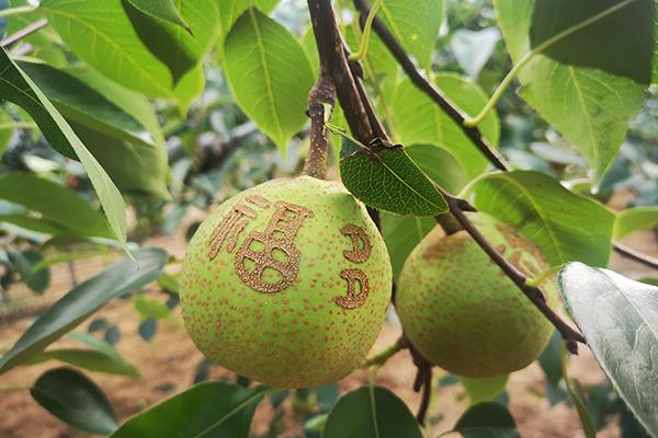 福鹿会·F6(中国)最新官方网站