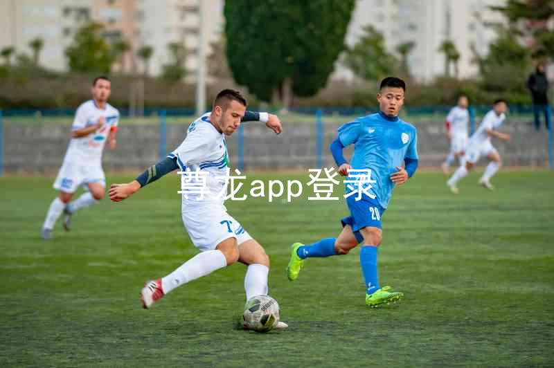 尊龙app登录