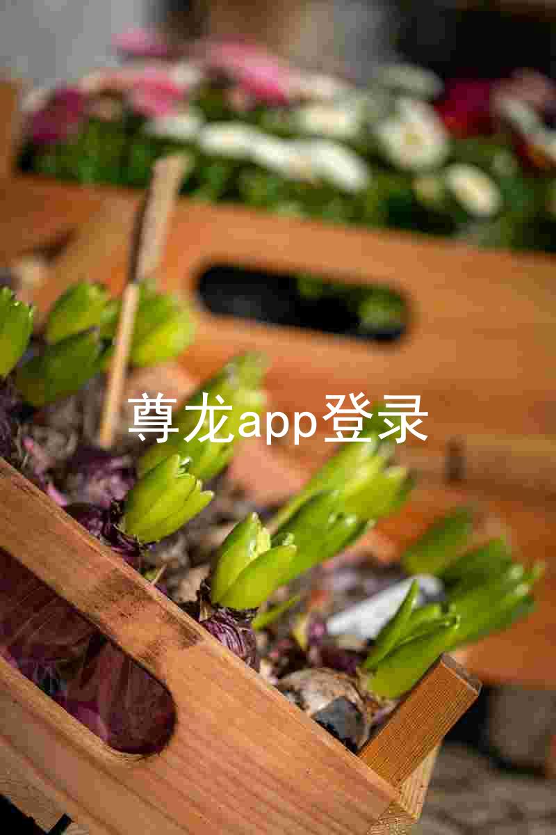 尊龙app登录