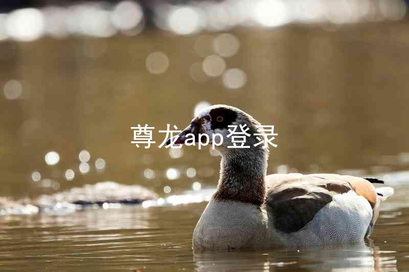 尊龙app登录